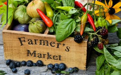 Why Farmers Markets Are a Treasure Trove for Food Lovers